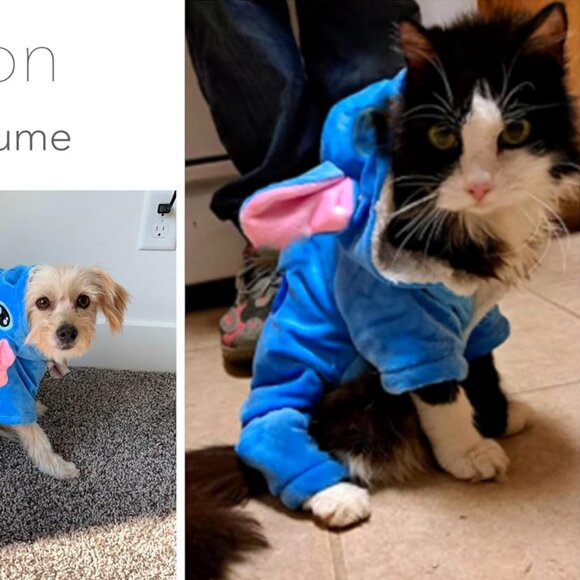 Fashion Dog Costumes, Pet Outfit, Pet Pajamas Clothes Warm Hoodie Coat - Picture 10 of 11